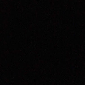 Meet your Posher, Max